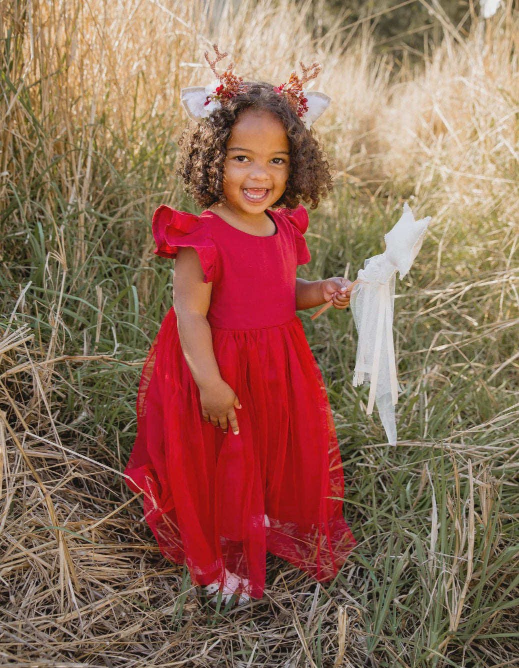 Holly Christmas Dress - Red Tulle Dress