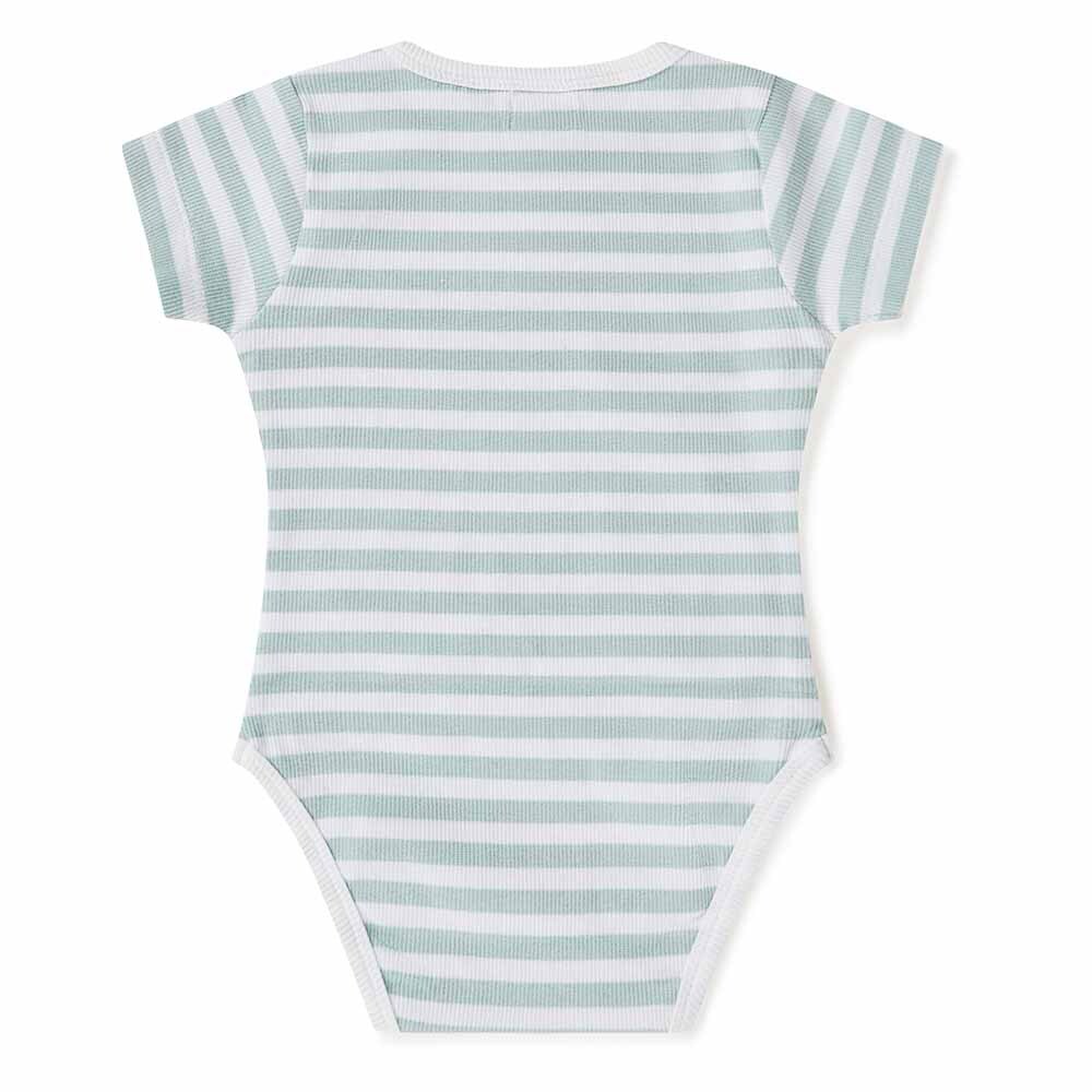 Sage Stripe Short Sleeve Bodysuit